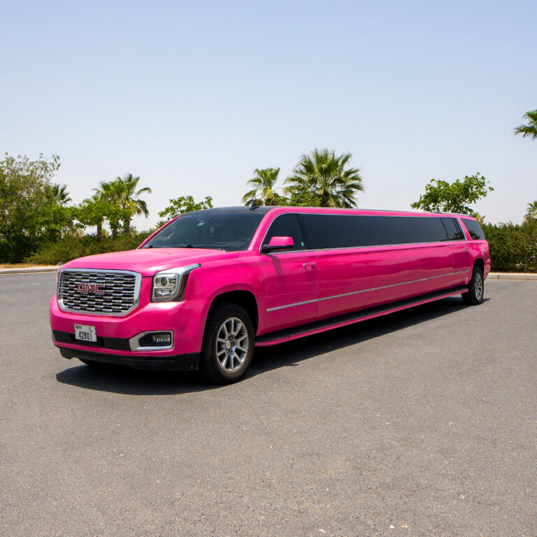 Pink Barbie 20 Seater
