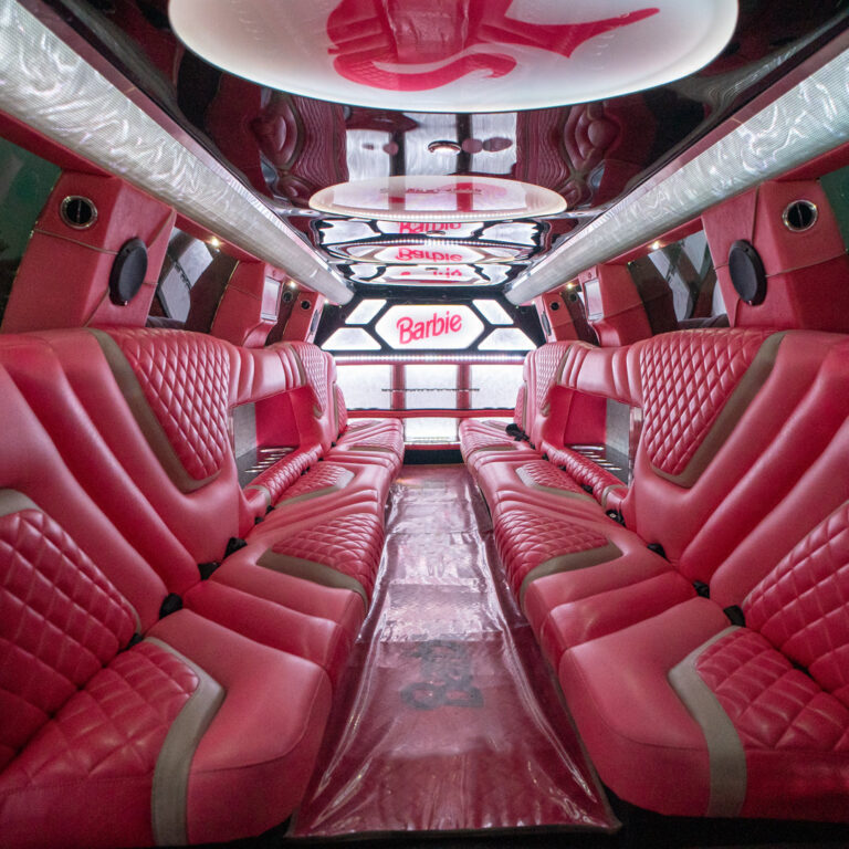 Pink Barbie 20 Seater