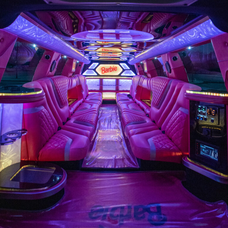 Pink Barbie 20 Seater