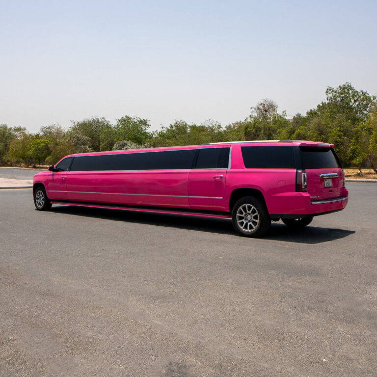 Pink Barbie 20 Seater