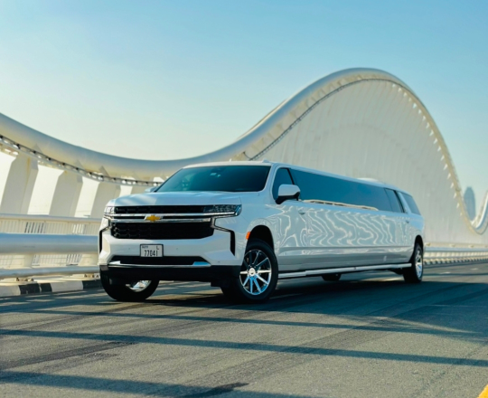 untitled design 20260310 004836 0000